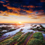 Commonwealth bronze medallist Murphy retires from squash