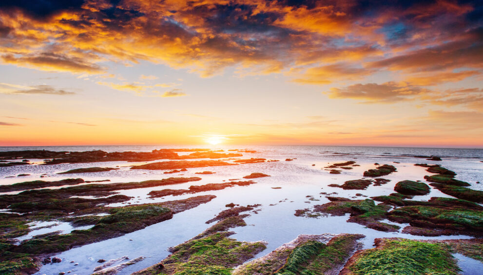 Reform's Welsh leader confirms manifesto costings U-turn